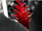 VYBZZ SAMPLE (urbanvybz aout 2k14)