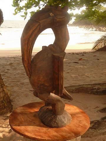 A Ezile bay, calaos en vol, calaos en bois... mais calaos mythiques en Afrique !