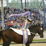 Découvrez les Jeux équestres mondiaux 2014