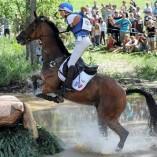 Découvrez les Jeux équestres mondiaux 2014