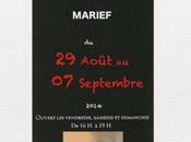 Galerie l’Arbre Exposition MARIEF CHEDIGNY