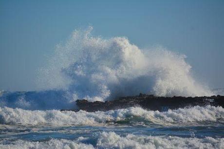 Crystal-Cove-Surf-1