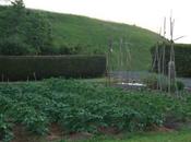 meilleurs Ebook gratuits potager