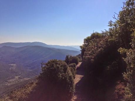 Au dessus des Corbières, Peyrepertuse