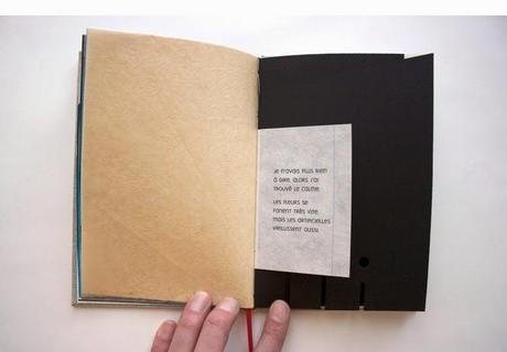 Livre accordéons et autres reliures de David Cauwe