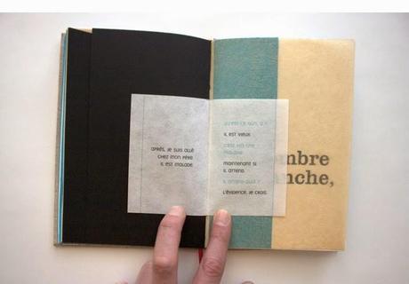 Livre accordéons et autres reliures de David Cauwe