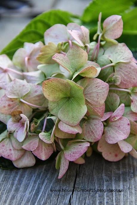 Semaine 35 sur les blogs déco