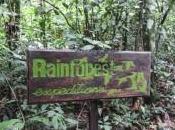 Refugio Amazonas activités dans jungle