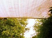 peaceful moment after lotta speed, agitation stagefright