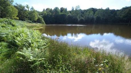 Faits divers, faits de société lac de la creuse le petit Loan