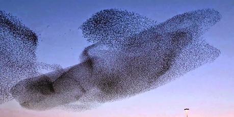 UNE ENTREPRISE PEUT-ELLE SE PASSER DE DIRIGEANT ?