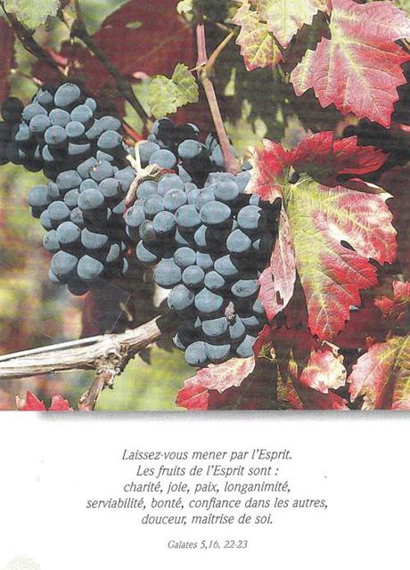 SEPTEMBRE : le mois des récoltes