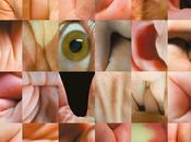 Typographic Universe