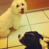 insta aout - Les lubies de louise-16 Mon mois d’août un peu gris avec quelques éclaircies !