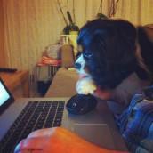 insta aout - Les lubies de louise-18 Mon mois d’août un peu gris avec quelques éclaircies !