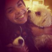 insta aout - Les lubies de louise-30 Mon mois d’août un peu gris avec quelques éclaircies !