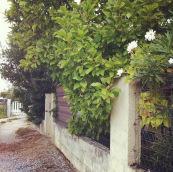 insta aout - Les lubies de louise-37 Mon mois d’août un peu gris avec quelques éclaircies !