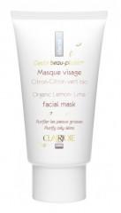 Clairjoie_masque-visage-peaux-grasses.jpg