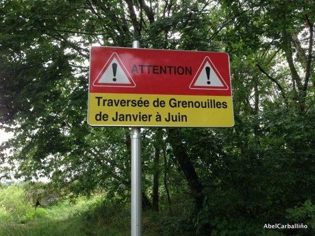 AFFICHES, PANNEAUX, ÉCRITEAUX et AUTRES pour la classe de FLE. 19