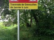 AFFICHES, PANNEAUX, ÉCRITEAUX AUTRES pour classe FLE.