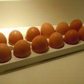 12 conseils pour être heureux