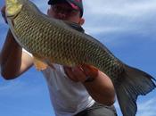 défaut d'aspes, prend chevesnes