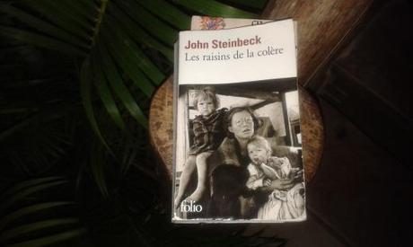 Les Raisins de la Colère, John Steinbeck