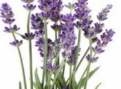 Tirage sort pour recette samedi septembre