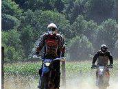 -visiteurs nouveaux membres, merci consulter post