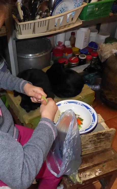 Folies gastronomiques boliviennes de l'été