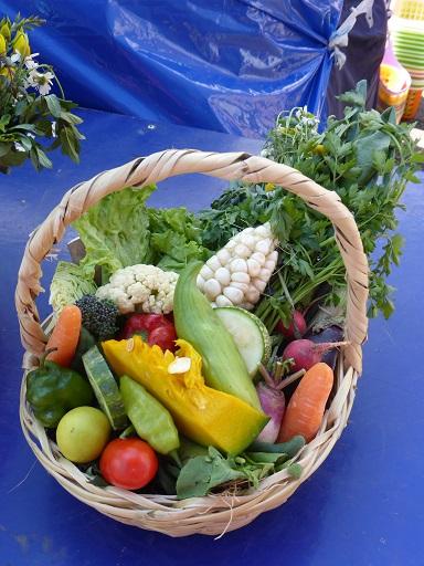 Folies gastronomiques boliviennes de l'été