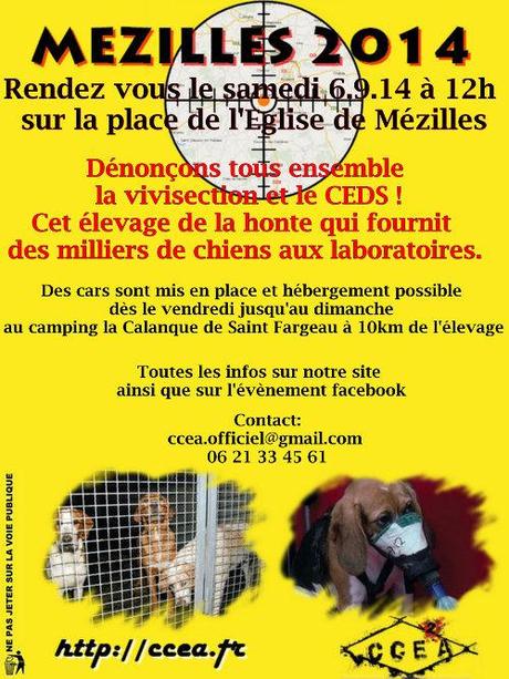 des idées de participations et soutiens aux grandes causes