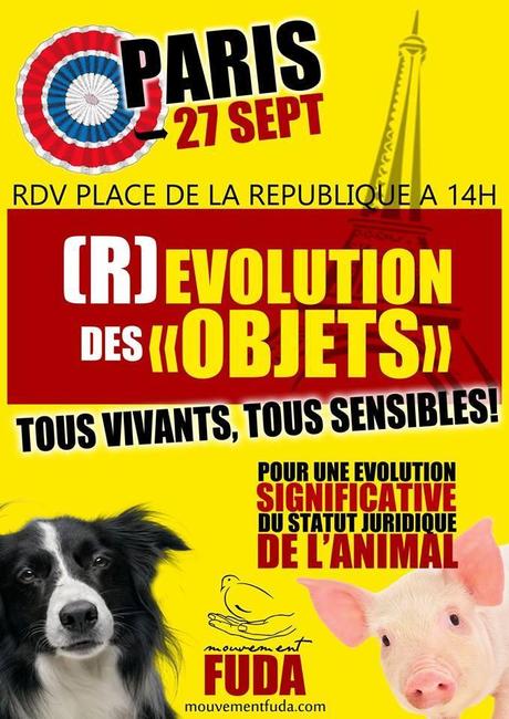 des idées de participations et soutiens aux grandes causes