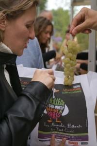 Distribution gratuite de fruits à Paris - Marchés du Sud-Ouest