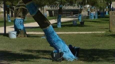 La peinture bleue marque la limite de la montée des eaux pendant Xynthia © FTV