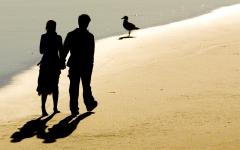 mike, baird, photo, couple, ombre, shadow, beach, plage
