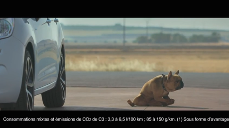 Citroen-Jours-Conso-Chien-Vavavoom-3