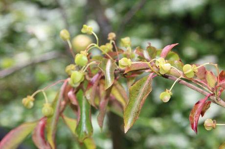 3 euo grandi romi 31 aoûtv  2014 035 (3).jpg