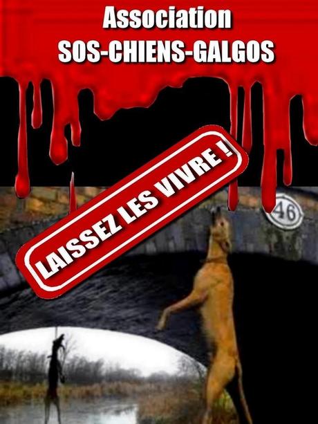 Bloc notes le rassemblement pour les levriers le 11/10