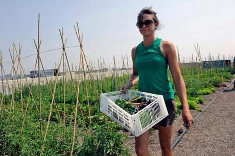 Brooklyn grange c’est énorme ! brooklyn-grange-ribbon-ceremony