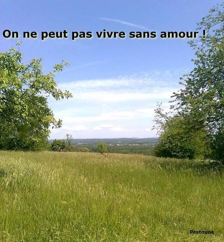 Mongolie, histoire du chameau qui pleure