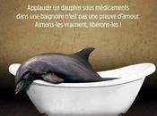 Contre delphinariums