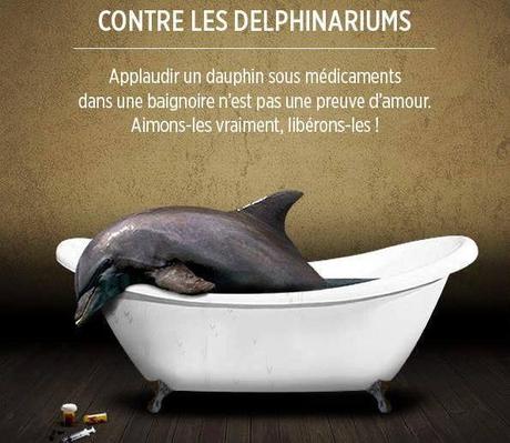 Contre les delphinariums