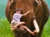 Thaïlande Love elephant [HD]