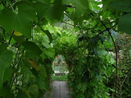 Le jardin en septembre