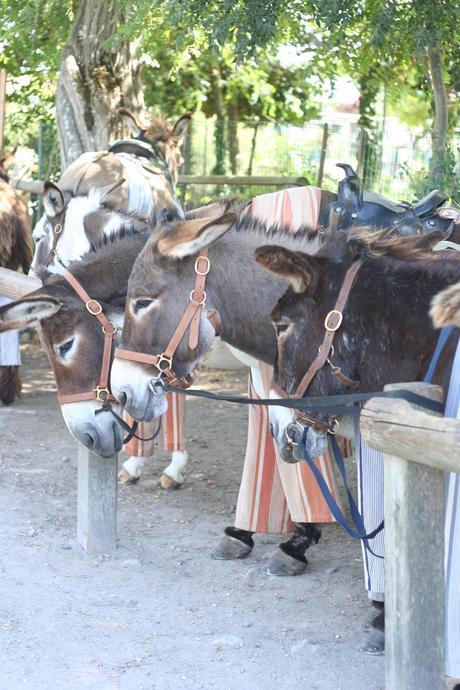 l'ile de ré séjour street style ile de re blog mode voyage
