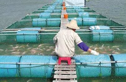 Ressources halieutiques : L’aquaculture, un créneau à valoriser