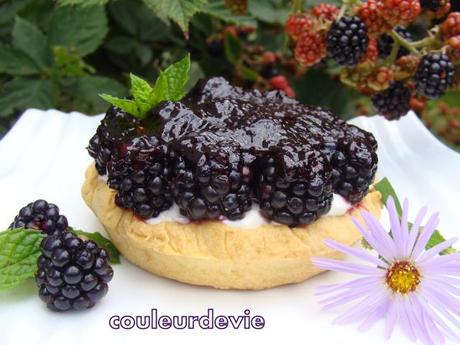 Tartelettes aux mûres à la crème de mascarpone