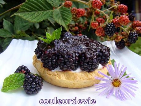 Tartelettes aux mûres à la crème de mascarpone