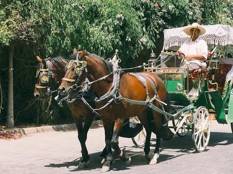 Morocco Travel Diary #3 Morocco Travel Diary #3 02